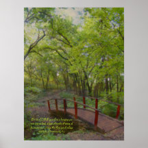 The Little Red Bridge poster