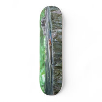 The Lizard Board!