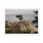 The Lone Cyprus Postcard