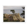The Lone Cyprus Postcard