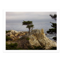 The Lone Cyprus Postcard