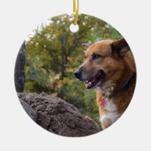 The Look of Loyalty Christmas Tree Ornaments