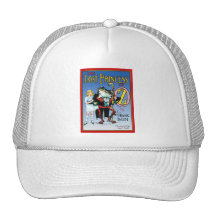 The Lost Princess Of Oz Mesh Hat