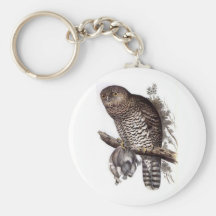 the luck of the owl keychains