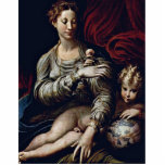 The Madonna Of The Rose By Parmigianino Photo Cut Out