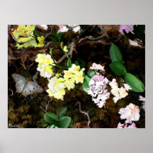 The Magic Garden Print