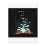 The magical world of reading postcards