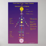 The Major and Minor Chakras Print