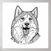 THE MALAMUTE POSTERS