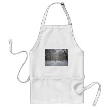 The Mall in Winter, Central Park, New York City Aprons