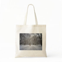 The Mall in Winter, Central Park, New York City Bag