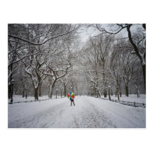 The Mall in Winter, Central Park, New York City Postcard
