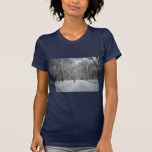 The Mall in Winter, Central Park, New York City T Shirt