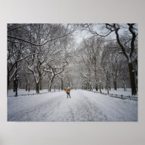 The Mall in Winter, Central Park, NYC, Small