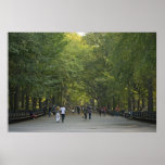The Mall Late Summer Print