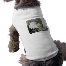 The Manneporte by Claude Monet Pet Clothing