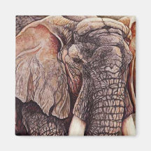 The Matriarch - African Elephant Magnets