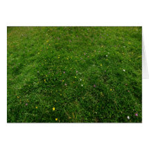 The Meadow Greeting Card