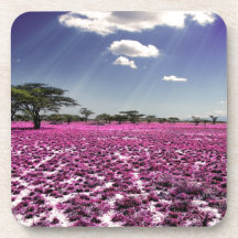 The Meadow of Life Drink Coaster
