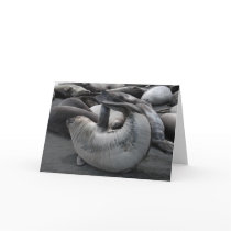 The Mermaid Seal Card