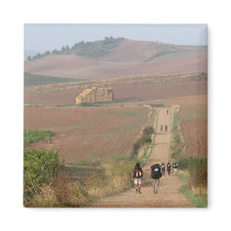 The Meseta Magnet magnets