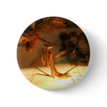 The mighty mantis buttons