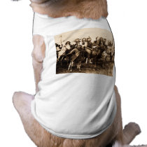 The Mighty Sioux Pet Clothes
