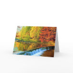 THE MIRACLE OF AUTUMN cards