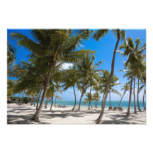The Moorings Resort, Marathon, Key West, Photo Print