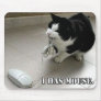 The Mouse Mouse Mats