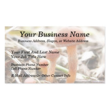 The Mushroom Family Business Card Templates