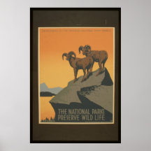 The National Parks Big Horn Sheep Poster