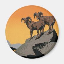 The National Parks Preserve Wildlife Refrigerator Magnets