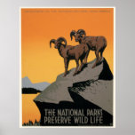 The National Parks Preserve Wildlife posters