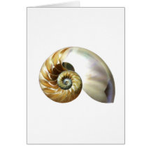 The Nautilus Shell Greeting Card