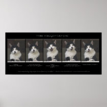 "THE NEGOTIATOR" Cat Print or Poster