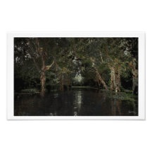 The Neon Mangrove Photograph