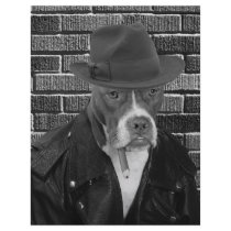 The new Dick Tracy