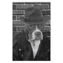 The new Dick Tracy