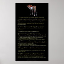 The New Pony Lesson: Native American Wisdom Poster