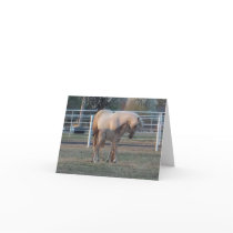 The Newborn Greeting Card