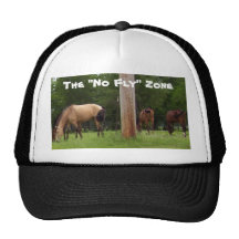 The "No Fly" Zone Hat