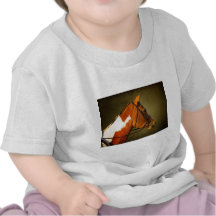 The Noble Paint Tee Shirts