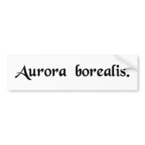 The Northern lights Bumper Stickers