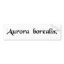 The Northern lights Bumper Stickers