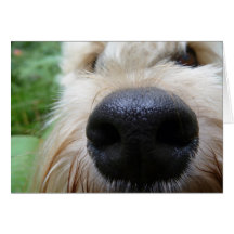 The nose knows! greeting card