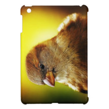 The Not-So-Angry Bird iPad Mini Cover
