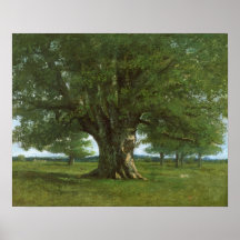 The Oak of Flagey, called Vercingetorix Posters