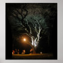 The Oak Tree posters