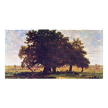 The Oaks Of Apremont By Rousseau Théodore Custom Photo Card